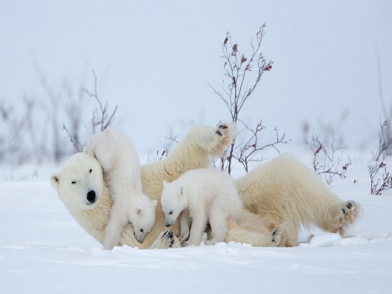 <strong>人工受精手术所需费用（无菌水怎么制作试管）</strong>